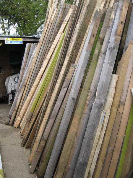 Various sized Timber starting at only 2.00 in price