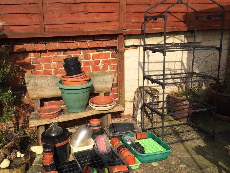 Various Sizes of plastic plant pots amp seed trays