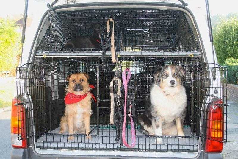 Vehicle Cages (ideal for dog walker)