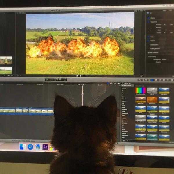 Video Editing Lessons