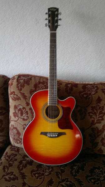 Vintage semi accustic guitar