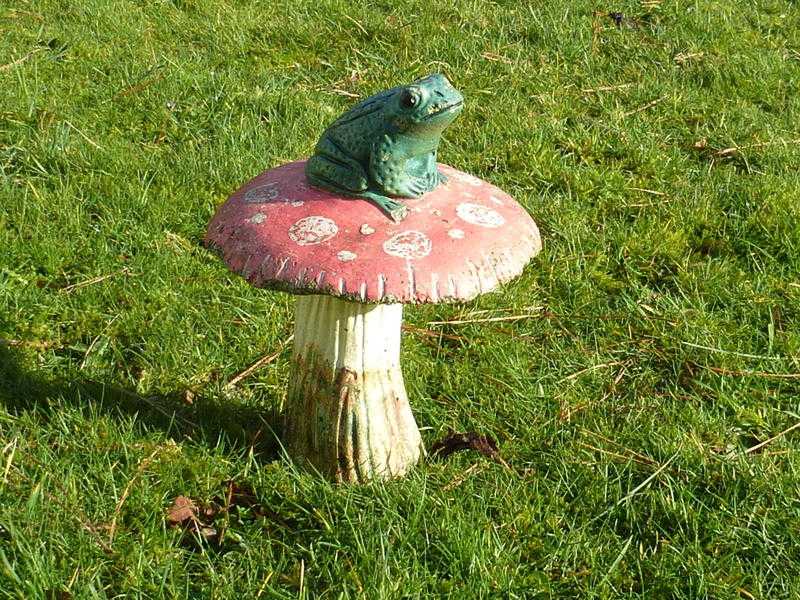 VINTAGE TOAD ON TOADSTOOL GARDEN ORNAMENT FROG GARDEN STATUE