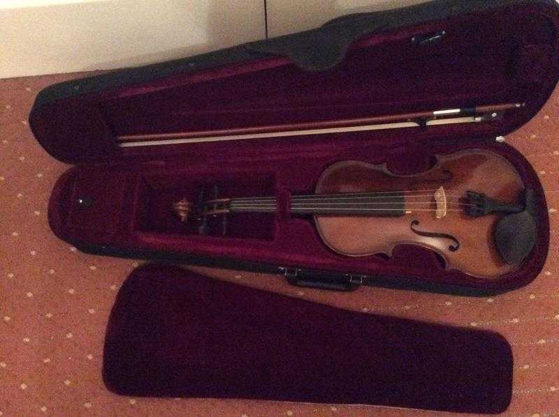 Viola with case