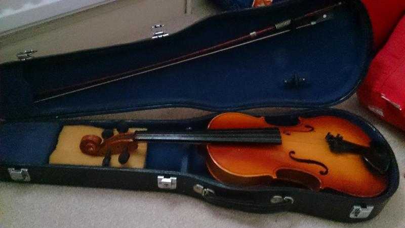 Violin