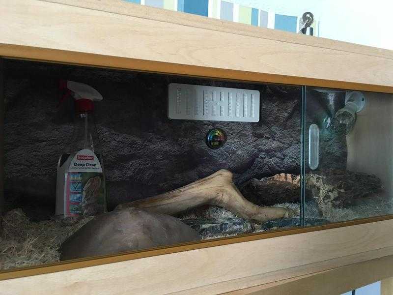 Vivarium