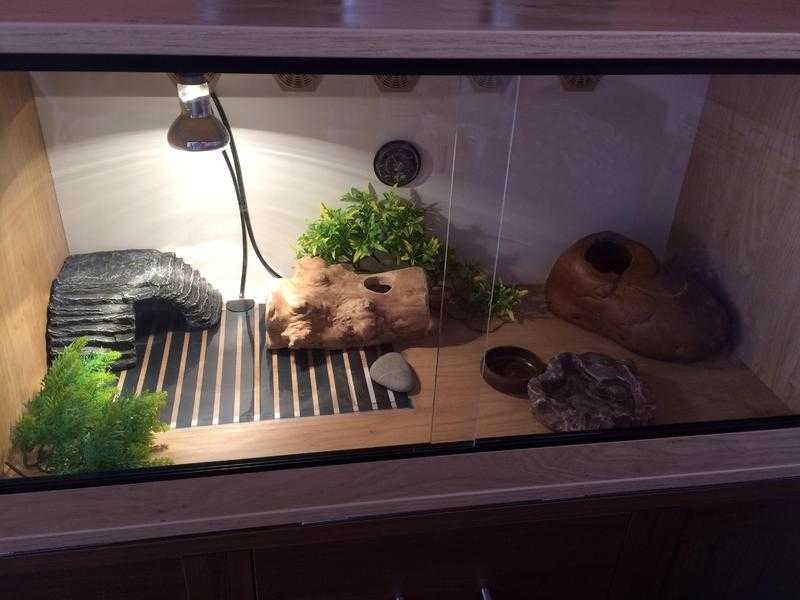 Vivarium and accessories