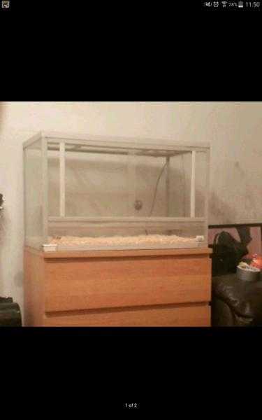 Vivarium for sale offers