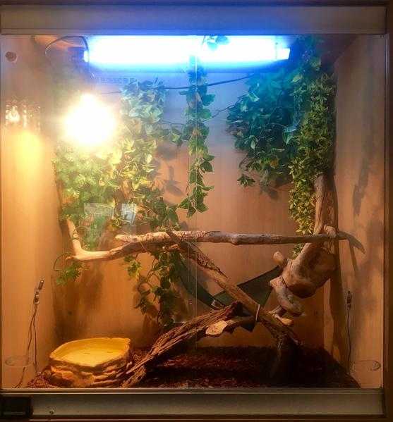 Vivexotic Vivarium