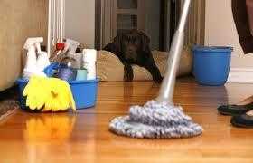 VMCleaning Services - Domestic amp Commercial Cleaning Services