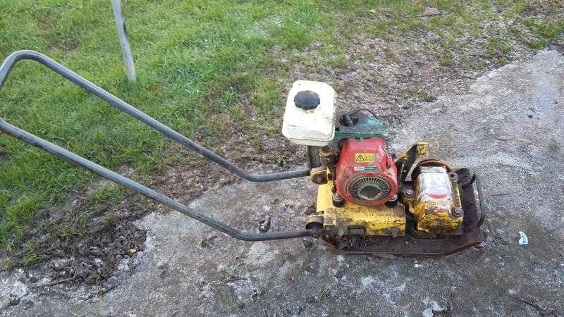 Wacker plate honda bomag