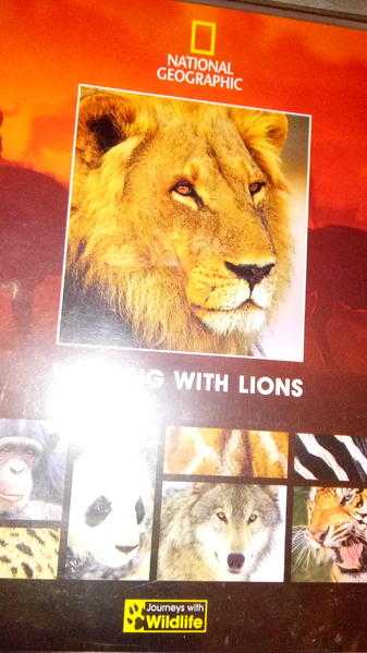 Walking With Lions DVD