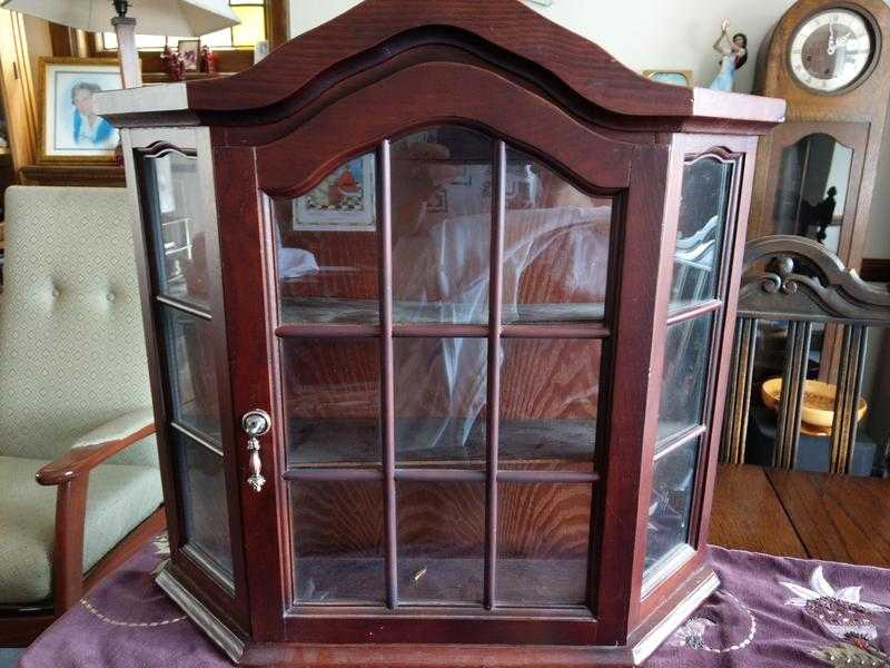 Wall Hanging Display Cabinet