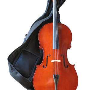 wanted CELLOS small size for young learners(a social enterprise project)