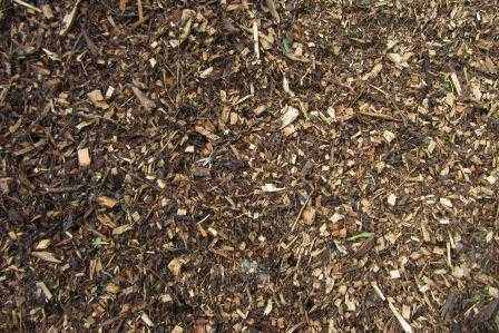 Wanted Chip bark  Wood chippings