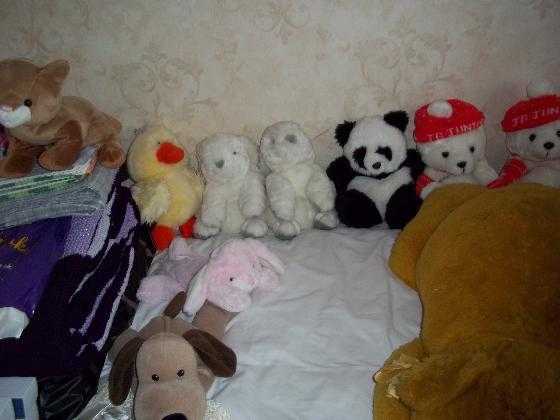 Wanted, FREE Cuddly toys desperately nee