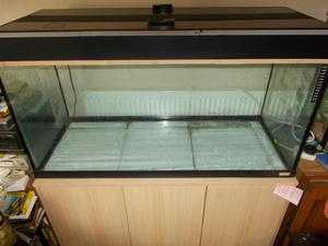 WANTED FREE LARGE TROPICAL FISHTANK