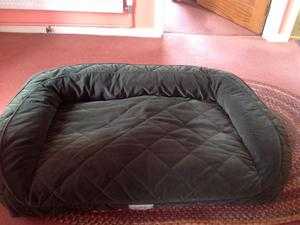 Wanted free medium sized dog bed