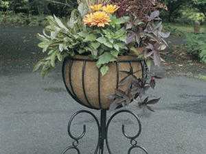 WANTED. Garden Urn.