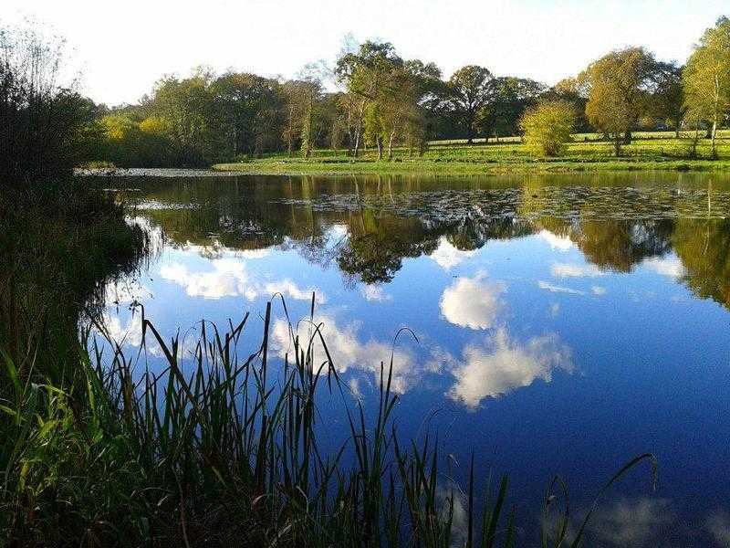 Wanted River,Lakes amp Ponds