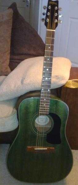 WASHBURN  6 String acoustic quotGeenquot Used condition. A few marks and scars but plays well.