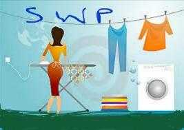 Washing and Ironing services .