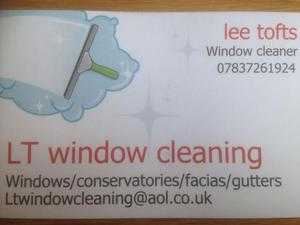 WE CLEAN ANY WINDOW