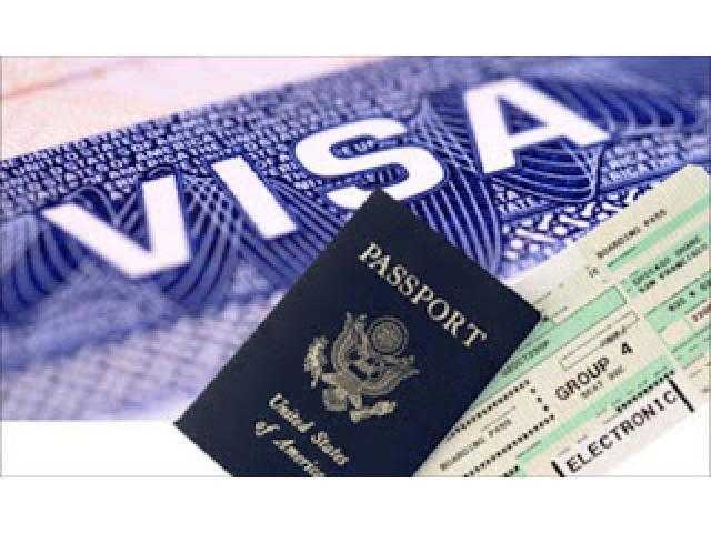 We Provide assistance in getting Visas,Passports,ID,Social Security number,Driving License for EU US