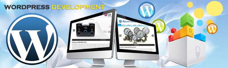 Web and Mobile Responsive Design,Wordpress Specialist