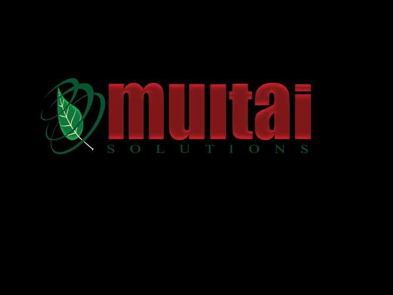 Website Design and Development Services - MULTAI