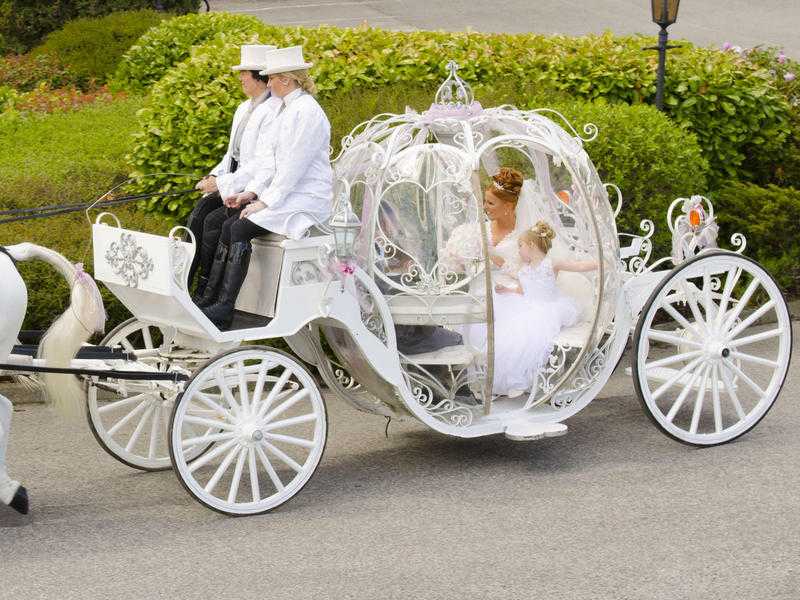 Wedding Photography amp Wedding Car Hire