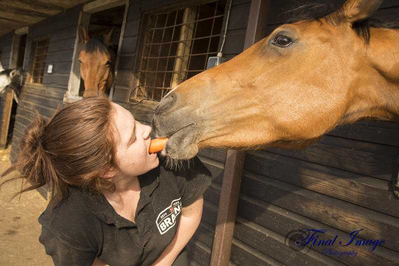 Wedding , Portraiture amp Equestrian Photography