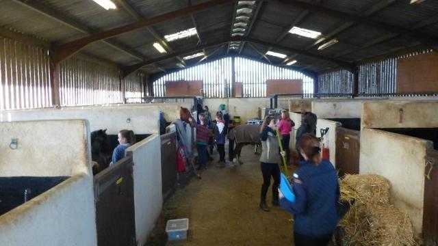 Weekend Stable HandGroom Position Available in Friendly Riding School near Faringdon Oxfordshire