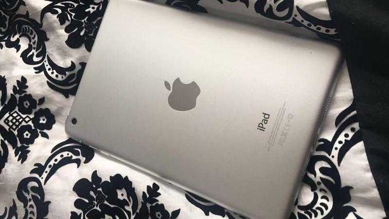 White and Silver iPad Mini