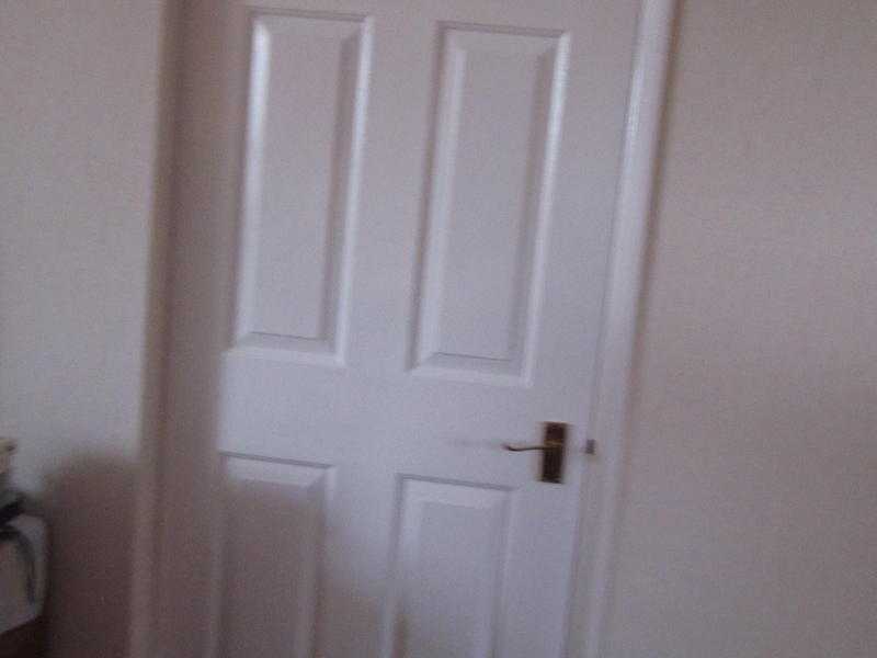 White Internal Doors