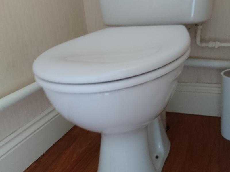 White low level Toilet