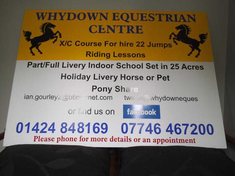 Whydown equestrian centre offer riding lessons and lots more