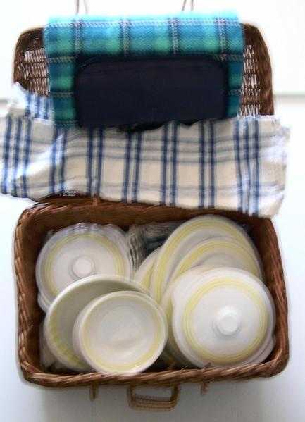 Wicker Picnic Hamper and blanket