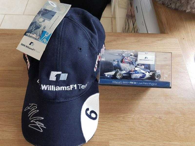 Williams f1 cap and car model