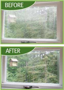 Window and door glass replacement