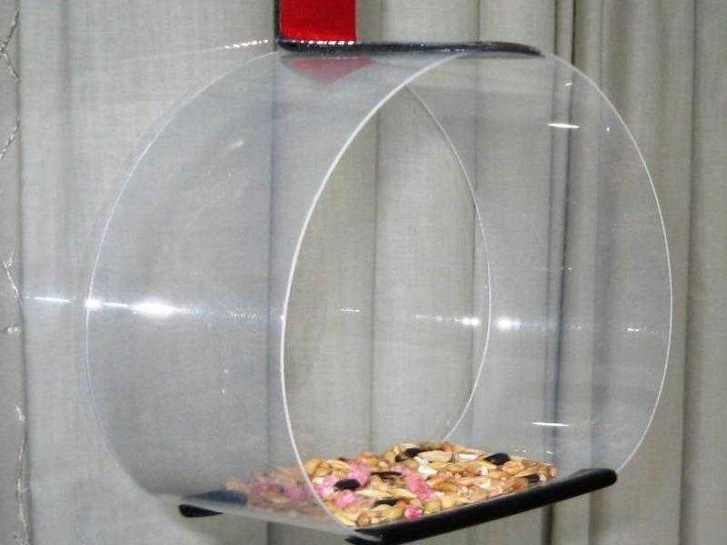 Window bird feeder