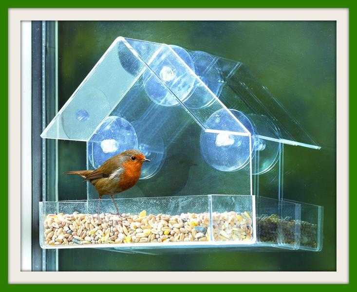 Window Bird Feeder With FREE 1.8kg Bird Seed