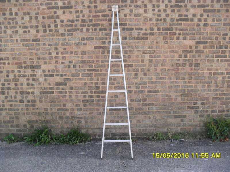 window cleaner,s A frame ladder