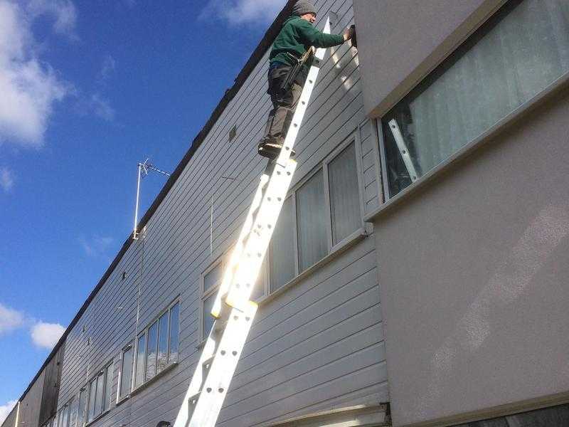 Window Cleaning Service