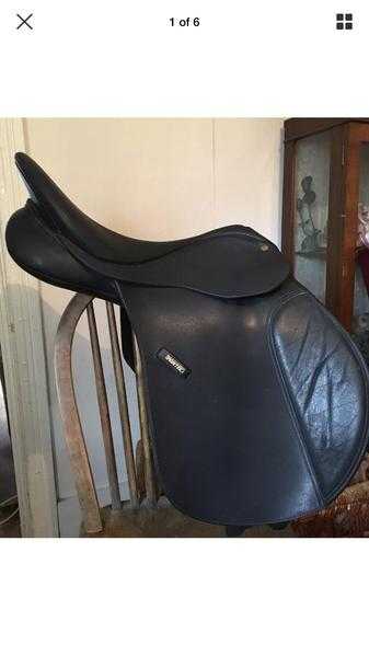 Wintec saddle