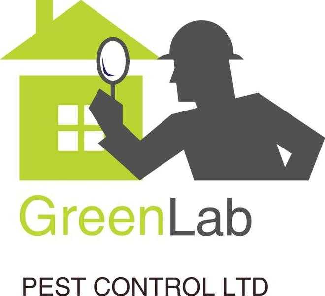 Wolverhampton Pest Control , Willenhall Pest Control , Walsall Pest Control , rats , mice , bed bugs