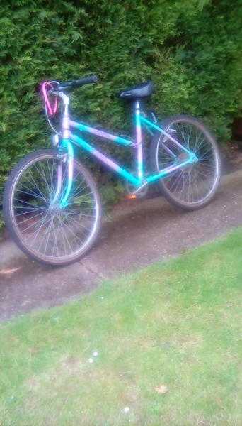 Women039s Raleigh mountain bike