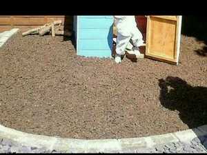 Wood chip mulch