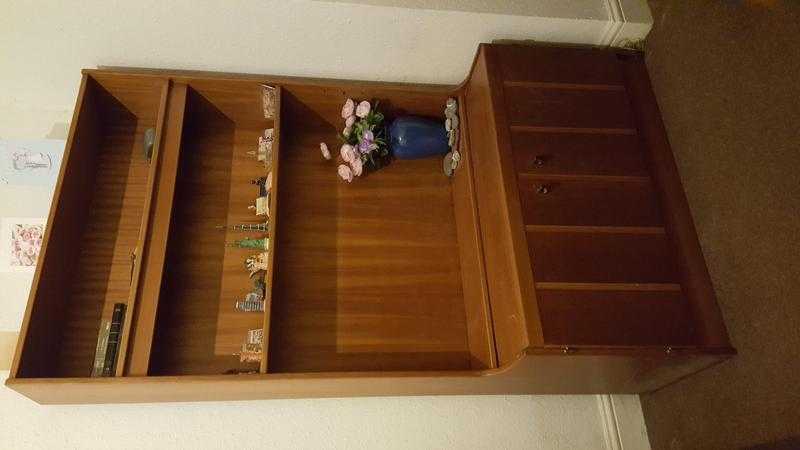 Wooden Display Shelf with storage