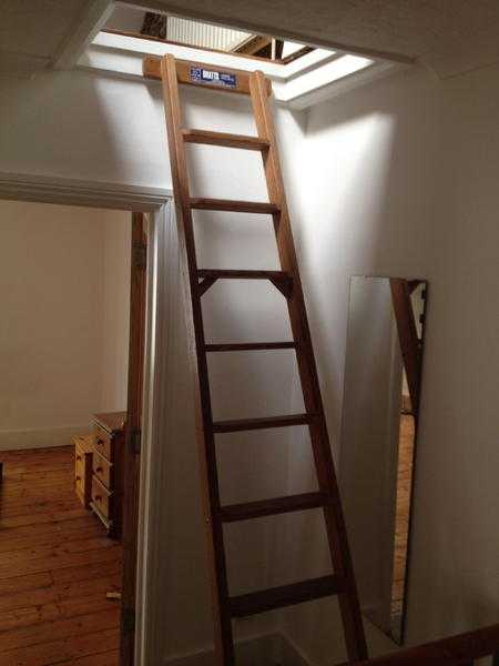 Wooden shelf ladder