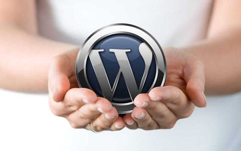 WordPress (CMS) Website ( DesignDevelopment )